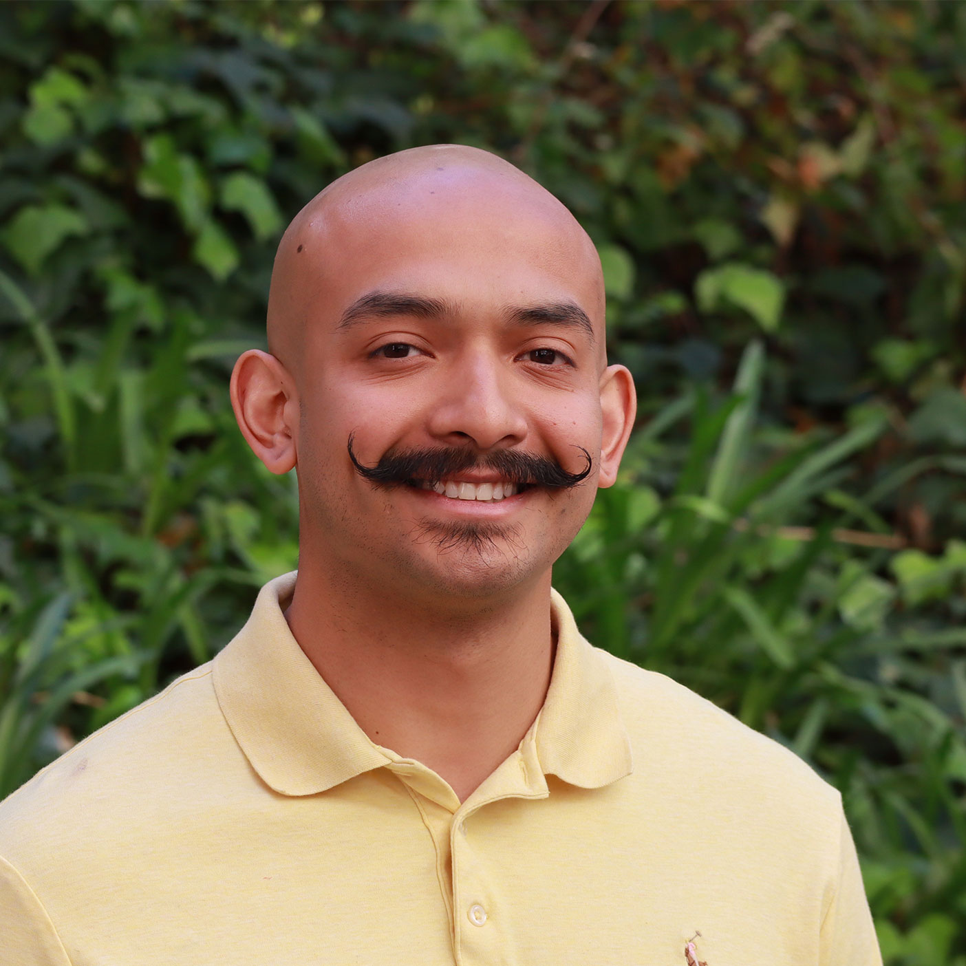Headshot of scholar. Green plants behind scholar. Scholar is bald. Has a black mustache and the mustache curls up on both ends of face. There is a little bit of facial hair below their bottom lip. Wearing a soft yellow button up polo shirt with a symbol on the shirt . Smiling with teeth