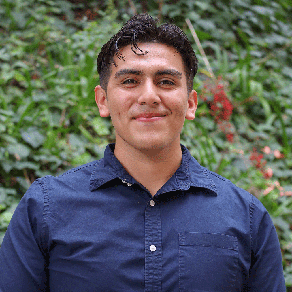 Green leaves in the background and a few red flowers. Scholar has wavy black hair. Their bangs curl past their forehead. Scholar has broad shoulders and is wearing a blue button down shirt.