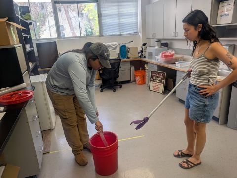 Cynthia and her mentor in the Dr. Rulon Clark lab work with a snake to try to get measurements. The snake was brought in to be looked at. Cynthia holds a long stick with a handle. The snake is in a red bucket. This was a busy day!