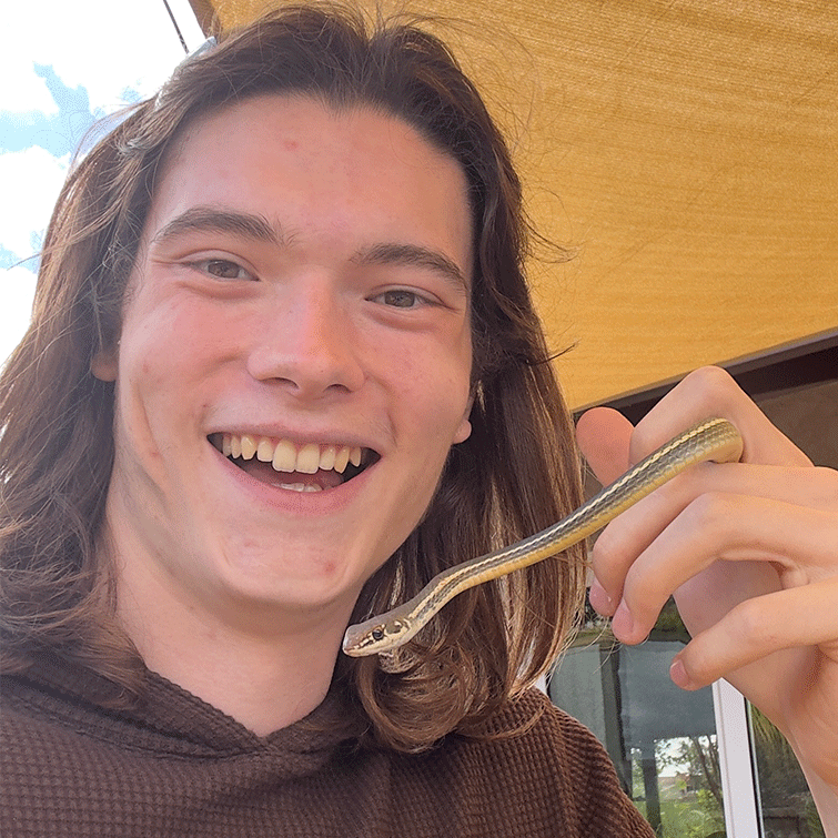 They have long brown waxy hair. They are wearing a brown shirt. They are holding a snake in their hand. The snake is brown with a yellow stripe. The snake is close to their facce.